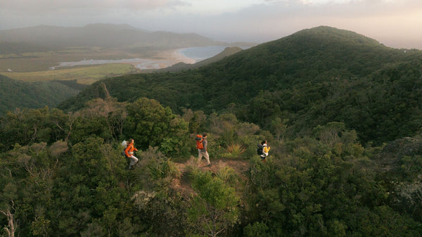 7041af31-28f6-475a-86c5-5a9ee7dccfcc