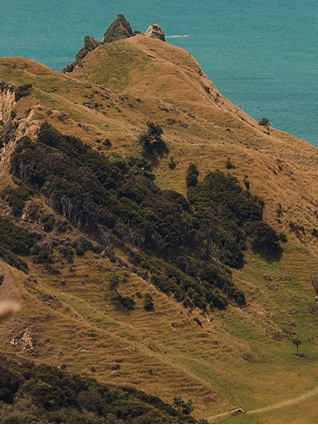 483c94e6-2078-4339-a40c-03d1ecbe34cd