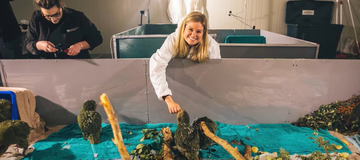 Liz Carlson at a DoC facility looking after Kakapo.