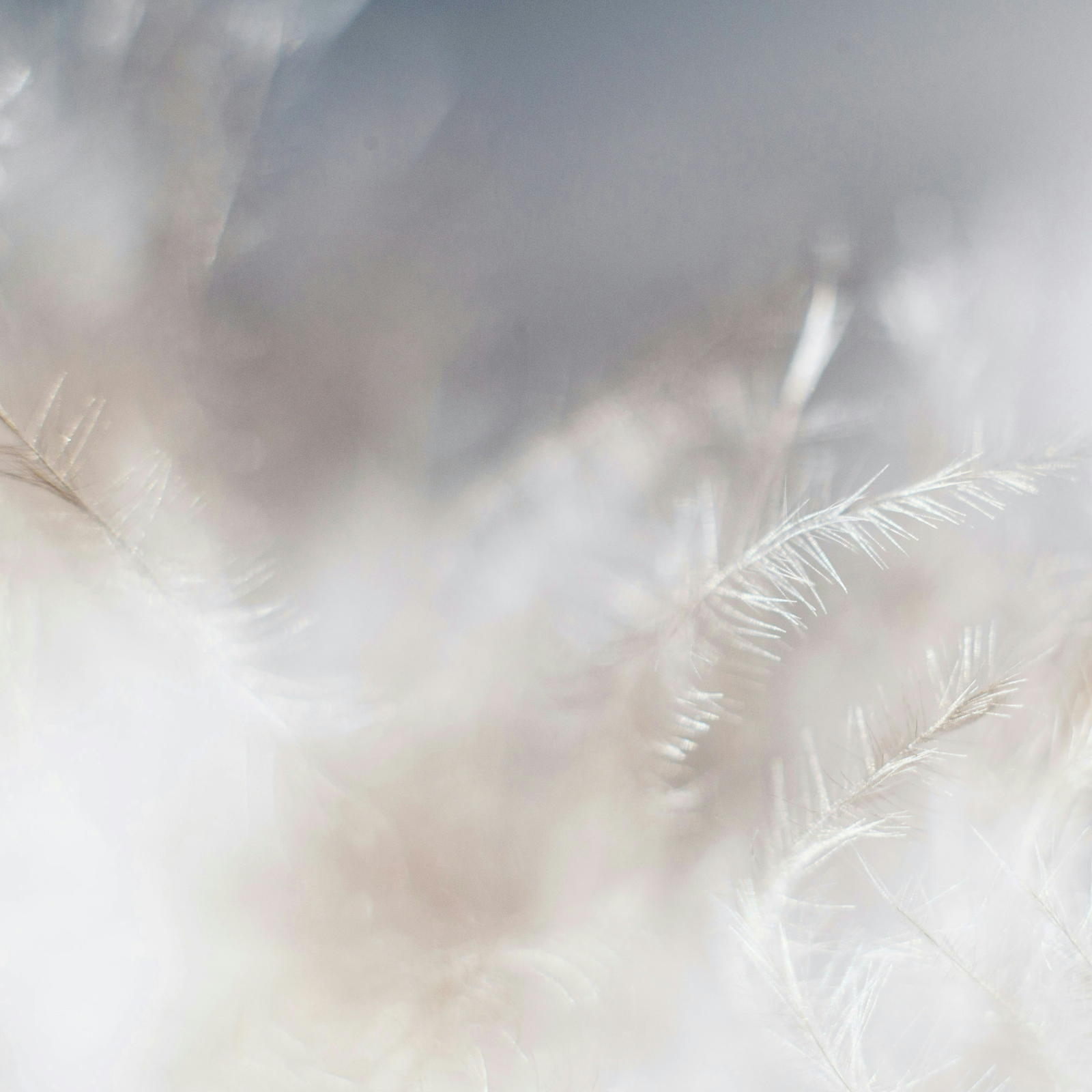 56a1831a-8190-4bf7-980b-5836942cfc26