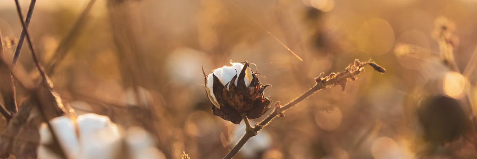 b957d1a2-661f-4c6f-888a-e16400476987