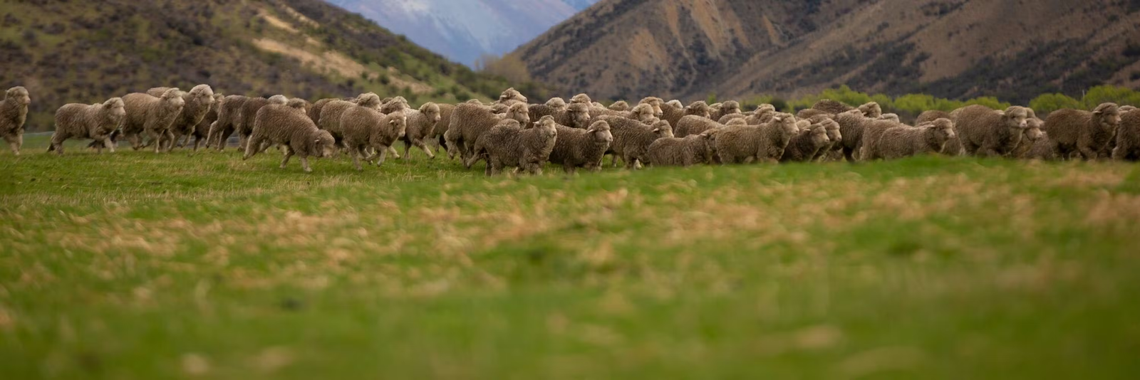 b957d1a2-661f-4c6f-888a-e16400476987