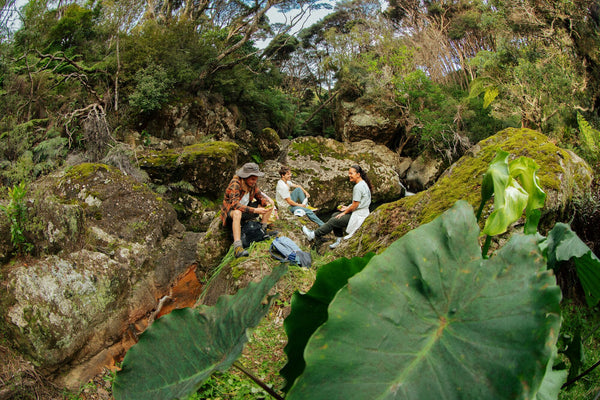 2021 Sustainability Report